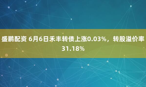 盛鹏配资 6月6日禾丰转债上涨0.03%，转股溢价率31.18%
