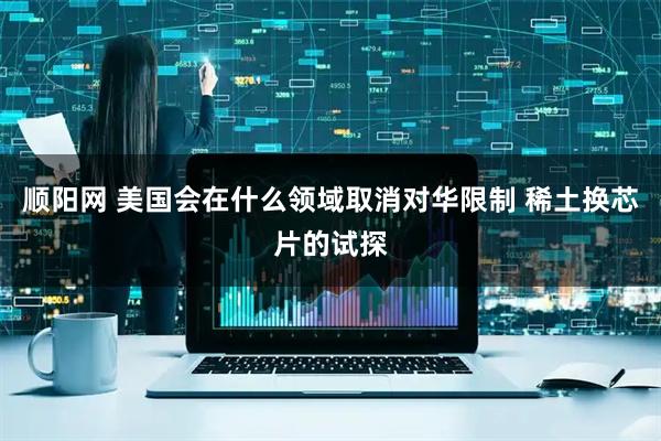 顺阳网 美国会在什么领域取消对华限制 稀土换芯片的试探