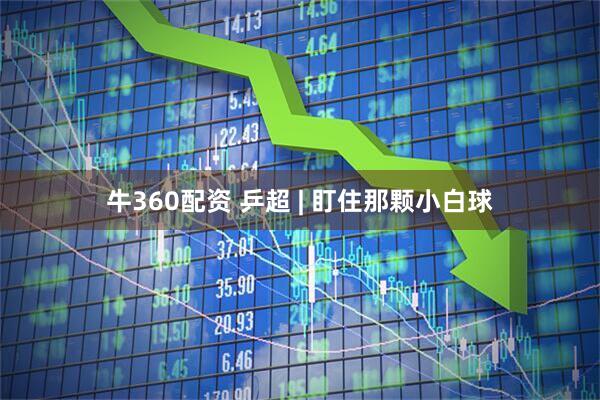 牛360配资 乒超 | 盯住那颗小白球