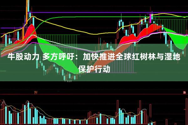 牛股动力 多方呼吁：加快推进全球红树林与湿地保护行动