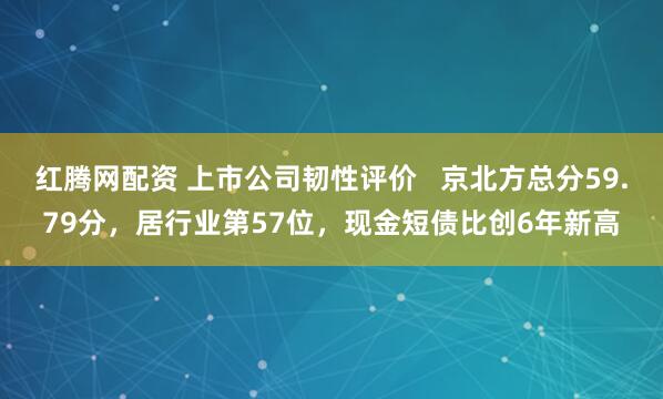 红腾网配资 上市公司韧性评价   京北方总分59.79分，居行业第57位，现金短债比创6年新高