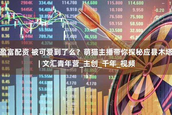 盈富配资 被可爱到了么？萌猫主播带你探秘应县木塔 | 文汇青年营_主创_千年_视频