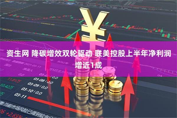 资生网 降碳增效双轮驱动 联美控股上半年净利润增近1成