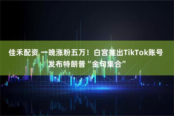 佳禾配资 一晚涨粉五万！白宫推出TikTok账号 发布特朗普“金句集合”
