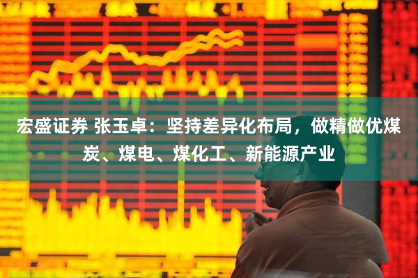 宏盛证券 张玉卓：坚持差异化布局，做精做优煤炭、煤电、煤化工、新能源产业