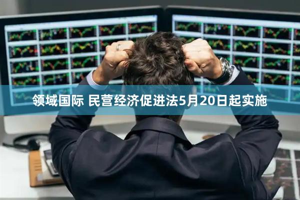 领域国际 民营经济促进法5月20日起实施