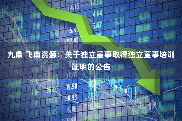 九鼎 飞南资源：关于独立董事取得独立董事培训证明的公告